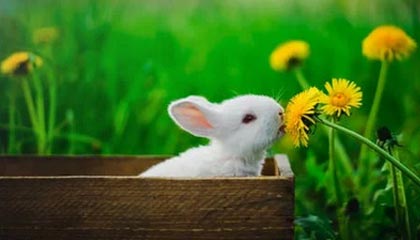 Kaiyun:让风云成为你生活的隐形伙伴